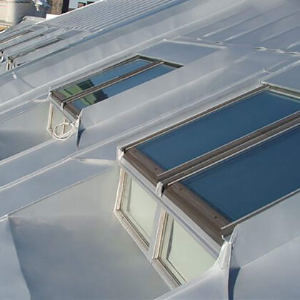 Dvigubo falco technologija